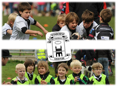 Wimborne Mini Rugby Festival The Rugby