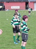 Wimborne Mini Rugby Festival