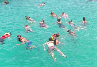 Ryde School Snorkelling Barbados