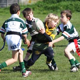 Exciting New Mini and Junior Rugby Festivals 2020 and 2021