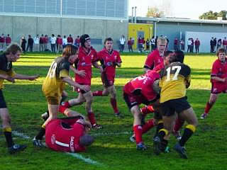 Saracens RFC New Zealand