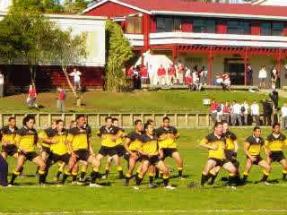 Saracens RFC New Zealand Playing