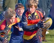 Harrogate Mini Junior Rugby Festival
