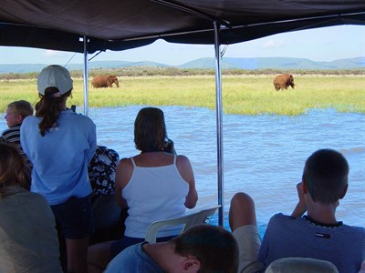 South Africa Tour Safari