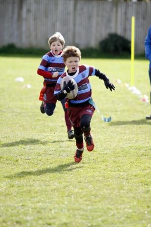 Mini and Junior Rugby Festivals 2017