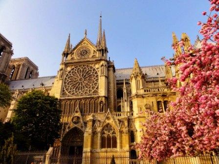 Top Educational Content Top Educational Content