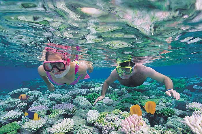 Snorkel at the Great Barrier Reef, a must on any sports tour