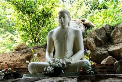 ceylon buddhist personals It’s famed for its ancient buddhist ruins has many ruins dating back more than 2,000 years ceylon eco tours is the best way to travel sri lanka. ceylon buddhist personals It’s famed for its ancient buddhist ruins has many ruins dating back more than 2,000 years ceylon eco tours is the best way to travel sri lanka.