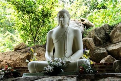 Sri Lanka Buddha