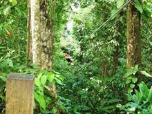 Queens Dragoon Guard South Africa