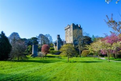 Castle In Cork