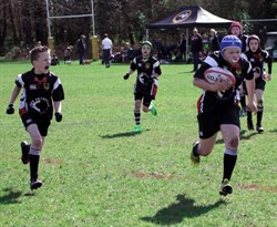 Queens Dragoon Guard South Africa