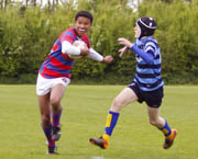 Hilversum Rugby Festival