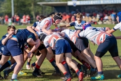 Aylesford Bulls RFC U17 Rugby Tour to the Hilversum International Youth Rugby Festival 2019