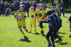 Fullerians RFC U12 Rugby Tour to The Bournemouth Mini and Junior Rugby Festival 2017