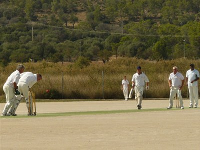 Cricket Blog