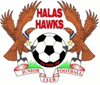 Halas Hawks Logo Halas Hawks Logo